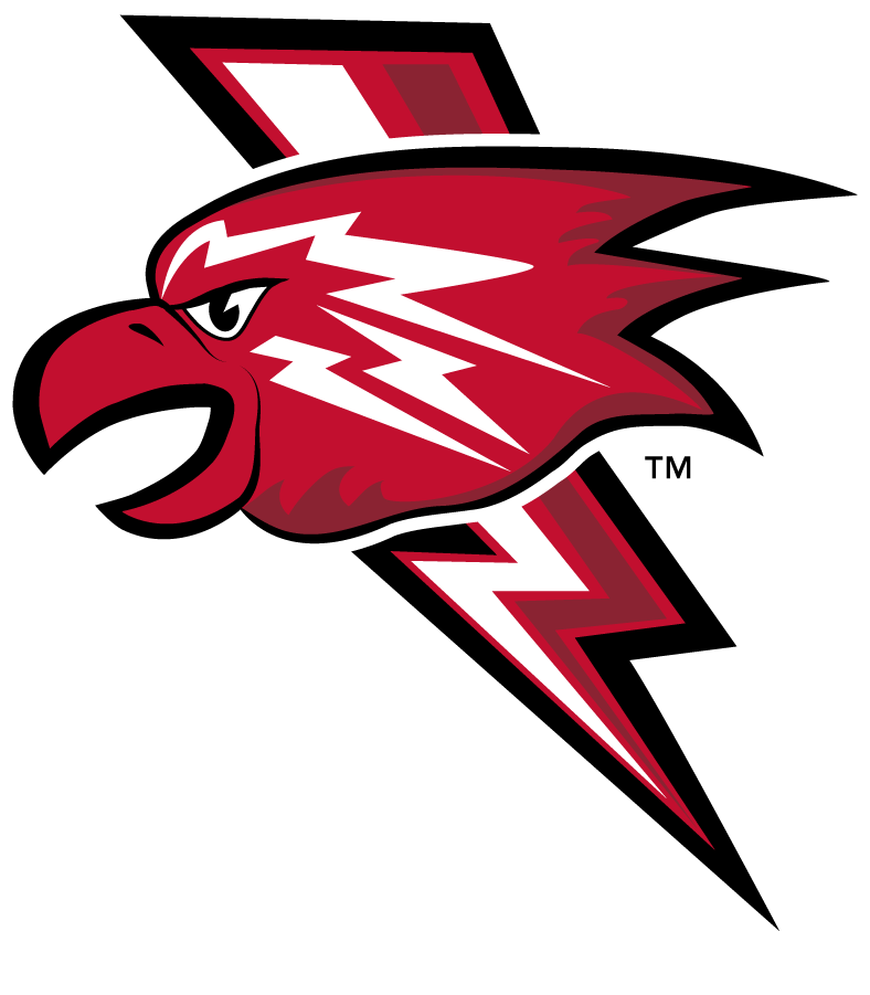 St. John's Red Storm 2013-2015 Misc Logo diy iron on heat transfer